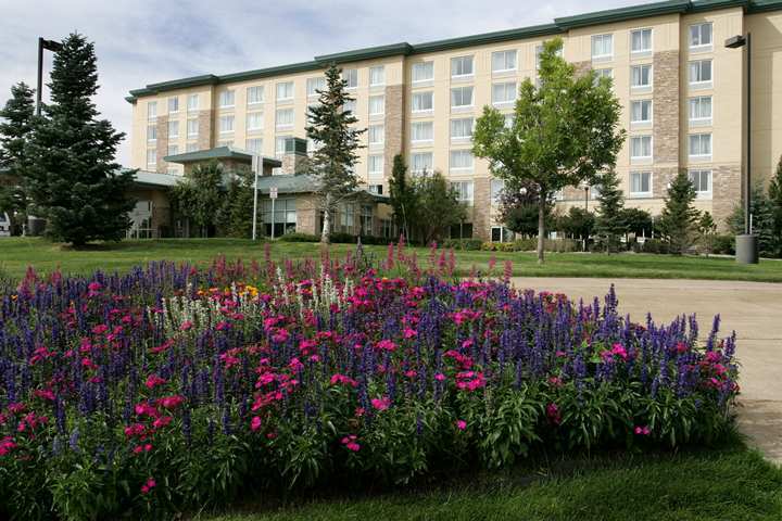 Hilton Garden Inn Denver South Park Meadows Area Centennial Exterior foto